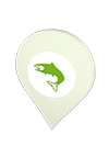 Fish icon