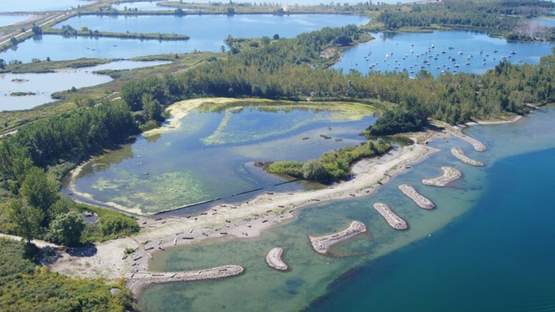 Aerial view of a wetland