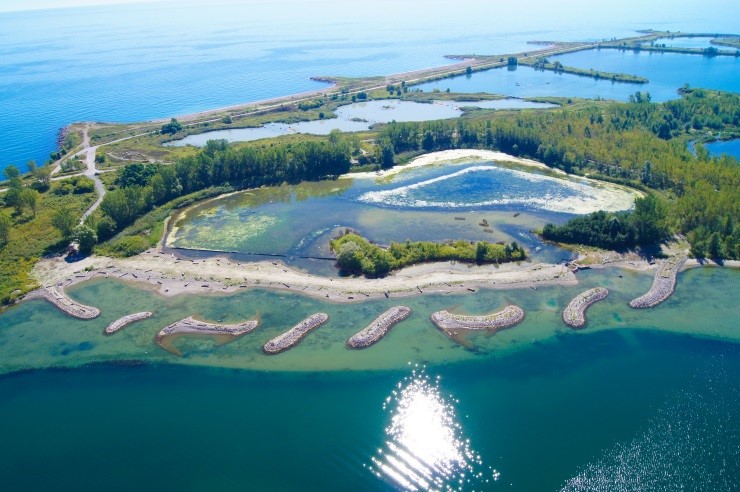 Aerial view of a wetland on an island