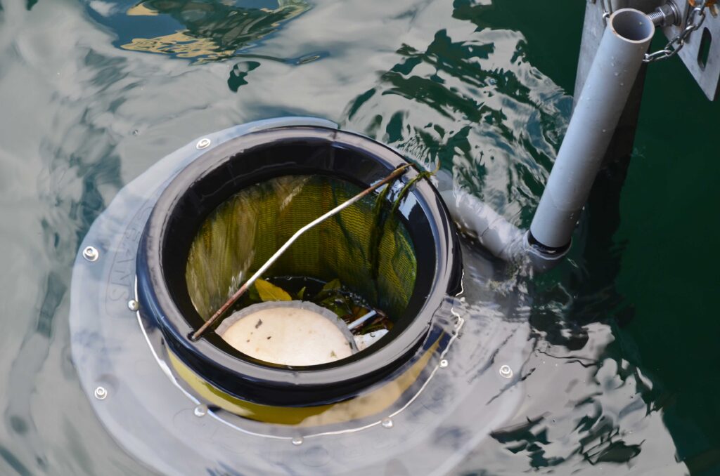 Seabin in the water at the port