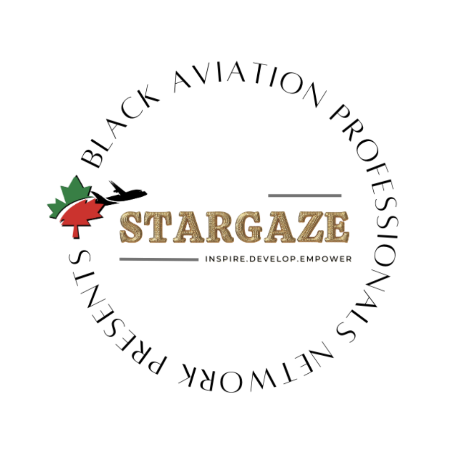 Stargaze Gala – Black Aviation Professionals Network logo